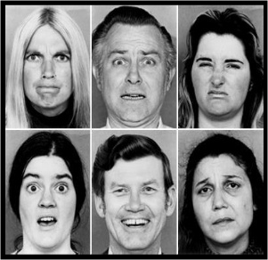 Faces Displaying Different Emotions